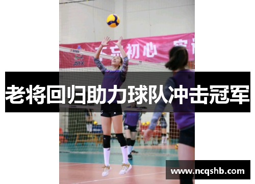 老将回归助力球队冲击冠军